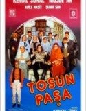 Tosun Paşa