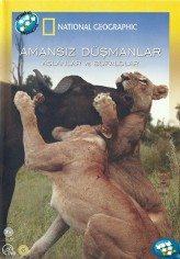 Amansız Düşmanlar Aslanlar ve Bufalolar