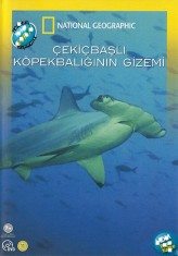 Çekiçbaşlı Köpekbalığının Gizemi
