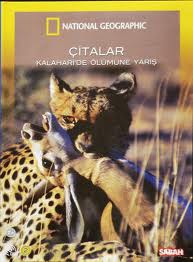 Çitalar Kalahari’de Ölümüne Yarış