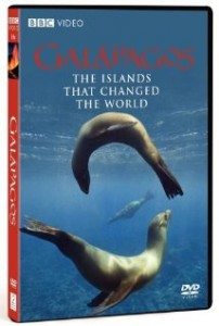 BBC Galapagos