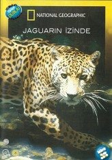 Jaguarın İzinde