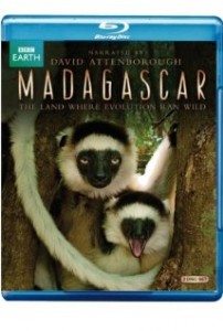 Madagaskar Belgesel