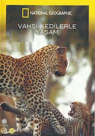 Vahşi Kedilerle Yaşam