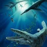 Deniz Canavarları Sea Monster