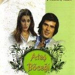 Ateş Böceği