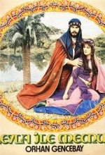 Leyla ile Mecnun Türk Filmi
