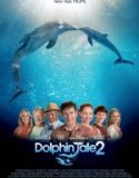 Dolphin Tale 2