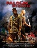 Falcon Rising