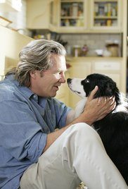 Bir Köpek Yılı