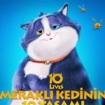 Meraklı Kedinin 10 Yaşamı