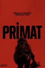 Primate