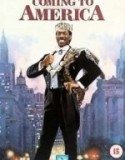 Amerikan Rüyası