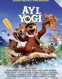 Ayı Yogi