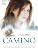 Camino