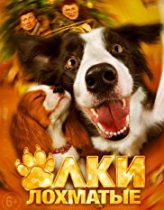 Evde Köpek Başına