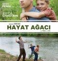 Hayat Ağacı