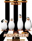 Madagaskar Penguenleri