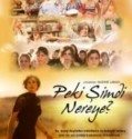 Peki Şimdi Nereye