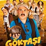 Göktaşı