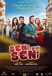 Seni Gidi Seni