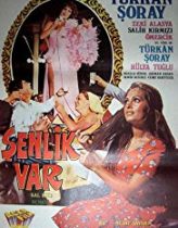Şenlik Var